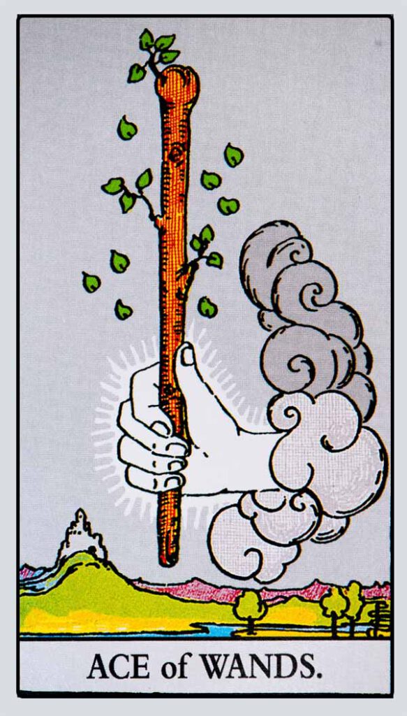 Ace of Wands Card